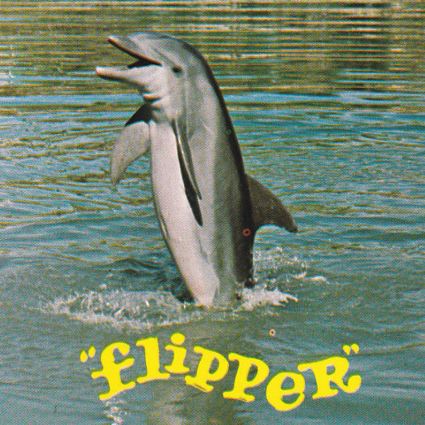 Dolphin Crypto - Dolphin Linguistics